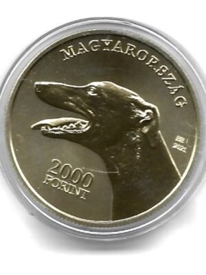 2021 Magyar Agár 2000-ft