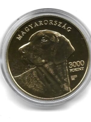 2023 Erdélyi kopó 3000-ft