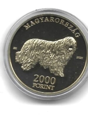 2020 Komondor 2000-ft