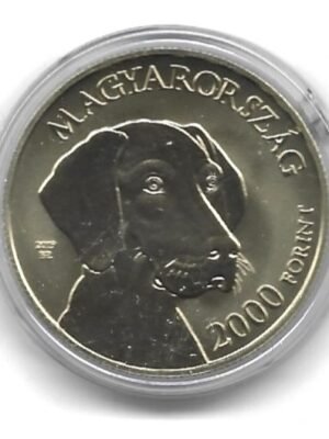 2019 Magyar vizsla 2000-ft